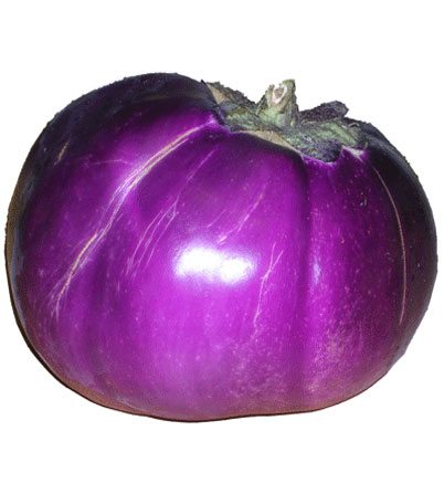 Berenjena Purpura