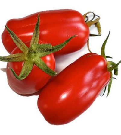 Tomate San Marzano