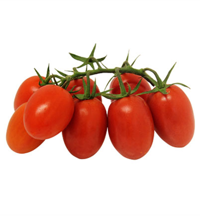 Pomodoro Piccadilly