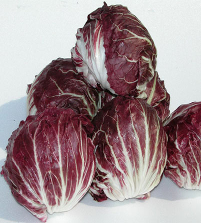 Radicchio Chioggia