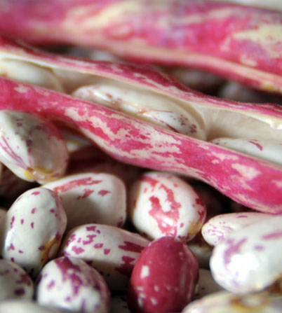 Fagioli Borlotti